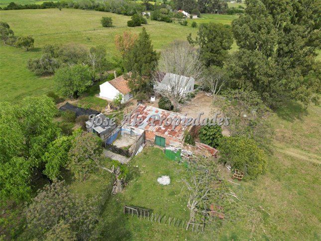 EN VENTA  EXCLUSIVIDAD NUEVO PRECIO! CAMPO DE 33.5 HA UBICADO EN PASO ANTOLIN, COLONIA - foto 4