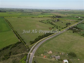 EN VENTA  EXCLUSIVIDAD NUEVO PRECIO! CAMPO DE 33.5 HA UBICADO EN PASO ANTOLIN, COLONIA - foto 5