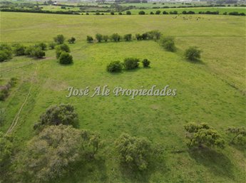 EN VENTA  EXCLUSIVIDAD NUEVO PRECIO! CAMPO DE 33.5 HA UBICADO EN PASO ANTOLIN, COLONIA - foto 6