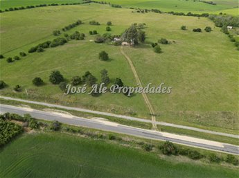 EN VENTA  EXCLUSIVIDAD NUEVO PRECIO! CAMPO DE 33.5 HA UBICADO EN PASO ANTOLIN, COLONIA - foto 7