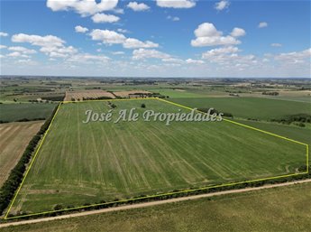 EN VENTA CAMPO 52 HA UBICADO EN COSMOPOLITA, COLONIA