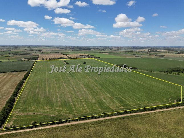 EN VENTA CAMPO 52 HA UBICADO EN COSMOPOLITA, COLONIA - foto 2