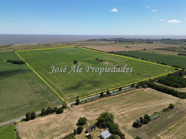 EN VENTA CAMPO 52 HA UBICADO EN COSMOPOLITA, COLONIA - foto 3