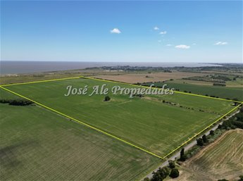 EN VENTA CAMPO 52 HA UBICADO EN COSMOPOLITA, COLONIA - foto 5