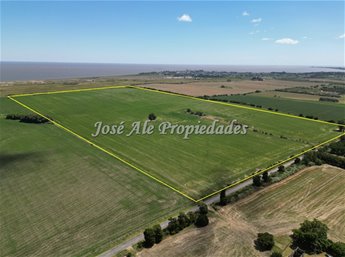 EN VENTA CAMPO 52 HA UBICADO EN COSMOPOLITA, COLONIA - foto 6