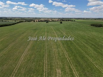 EN VENTA CAMPO 52 HA UBICADO EN COSMOPOLITA, COLONIA - foto 7