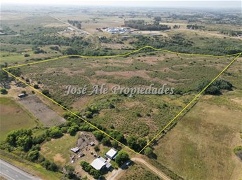 EN VENTA CAMPO DE 19 HA UBICADO PROX A ROSARIO, COLONIA