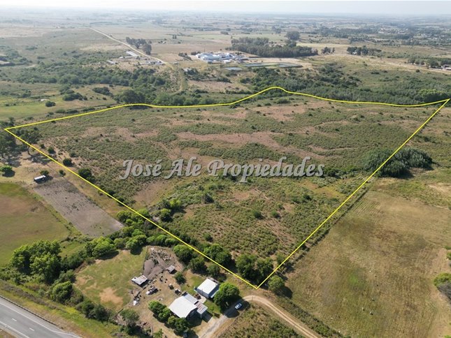 EN VENTA CAMPO DE 19 HA UBICADO PROX A ROSARIO, COLONIA - foto 2
