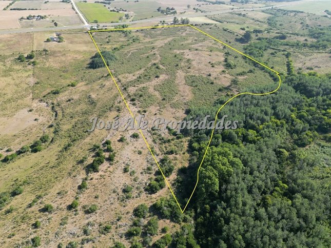 EN VENTA CAMPO DE 19 HA UBICADO PROX A ROSARIO, COLONIA - foto 3