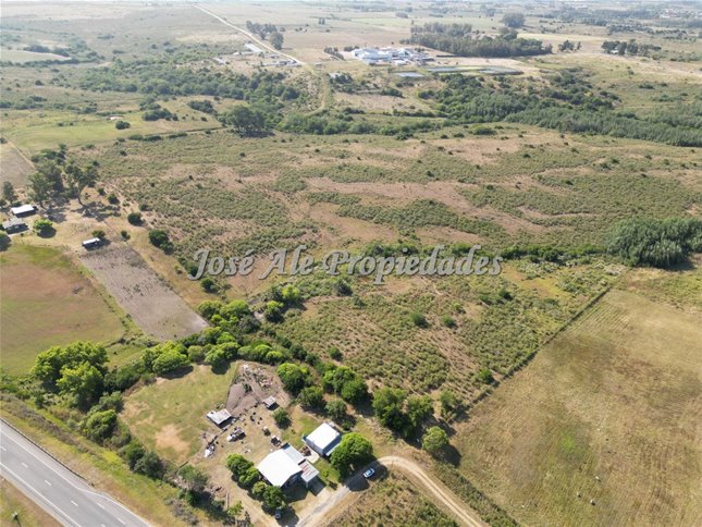 EN VENTA CAMPO DE 19 HA UBICADO PROX A ROSARIO, COLONIA - foto 4