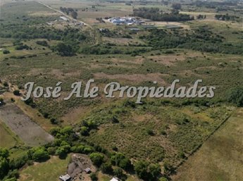 EN VENTA CAMPO DE 19 HA UBICADO PROX A ROSARIO, COLONIA - foto 6