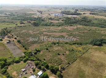 EN VENTA CAMPO DE 19 HA UBICADO PROX A ROSARIO, COLONIA - foto 7