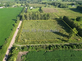 EN VENTA HECTAREA UBICADA A 200M DE LA RUTA 1, COLONIA