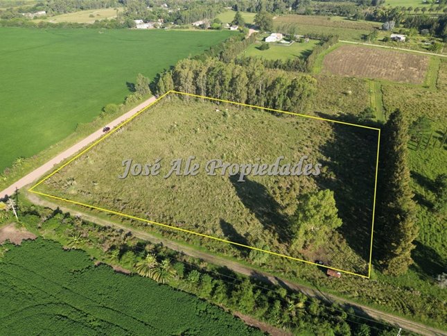EN VENTA HECTAREA UBICADA A 200M DE LA RUTA 1, COLONIA - foto 3