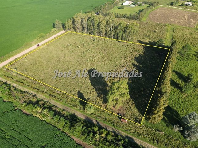 EN VENTA HECTAREA UBICADA A 200M DE LA RUTA 1, COLONIA - foto 4