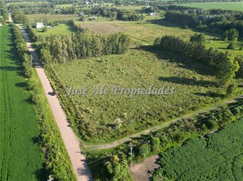 EN VENTA HECTAREA UBICADA A 200M DE LA RUTA 1, COLONIA - foto 5
