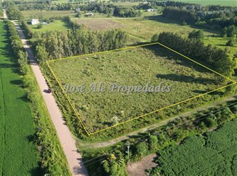 EN VENTA HECTAREA UBICADA A 200M DE LA RUTA 1, COLONIA - foto 6