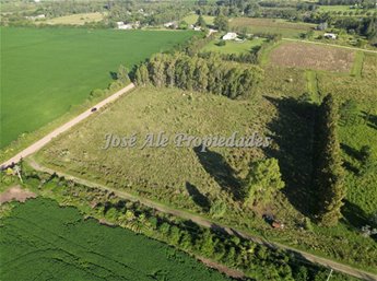 EN VENTA HECTAREA UBICADA A 200M DE LA RUTA 1, COLONIA - foto 7
