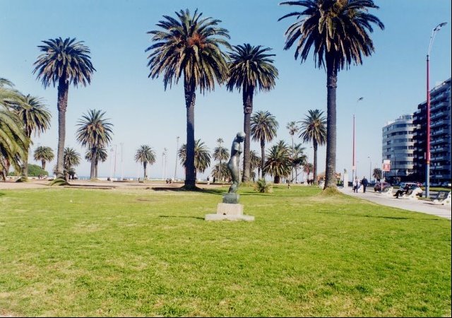 CATEGORIA SOBRE   RAMBLA CON LA MEJOR VISTA - foto 1