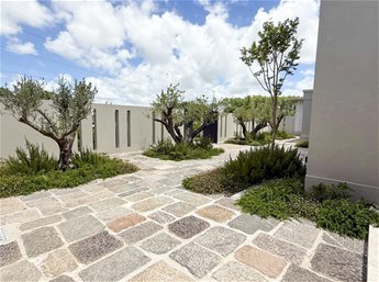 Espectacular Casa en Viñedos de la Tahona - foto 4