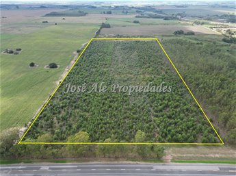 EN VENTA CAMPO DE 8 HA SOBRE RADIAL DE JUAN LACAZE, COLONIA