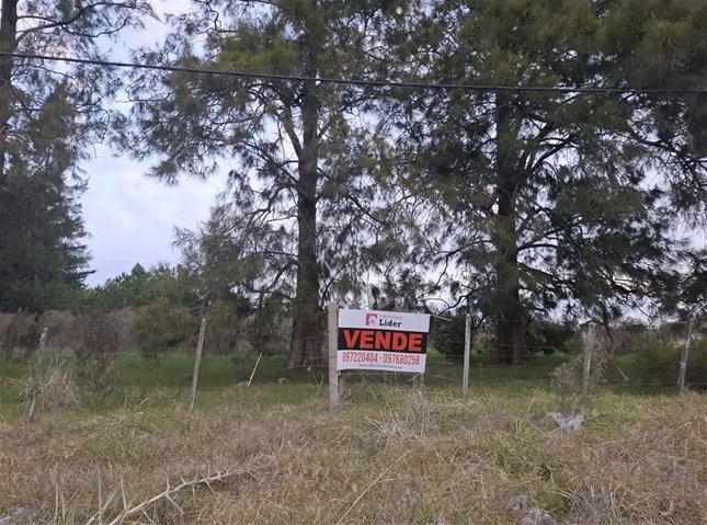Venta Terreno Ideal  para Empresa Logistica - foto 1