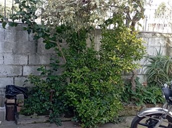 Casa en Flor de Maroñas