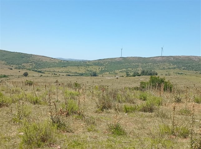 CAMPO EN VENTA - SIERRAS DEL CARAPE - MALDONADO - foto 3