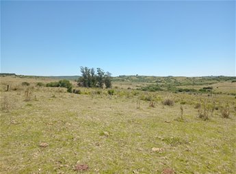 CAMPO EN VENTA - SIERRAS DEL CARAPE - MALDONADO - foto 7