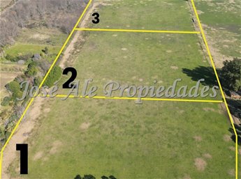 EN VENTA 4 LOTES DE 3HAS C/U SOBRE RUTA 21, COLONIA