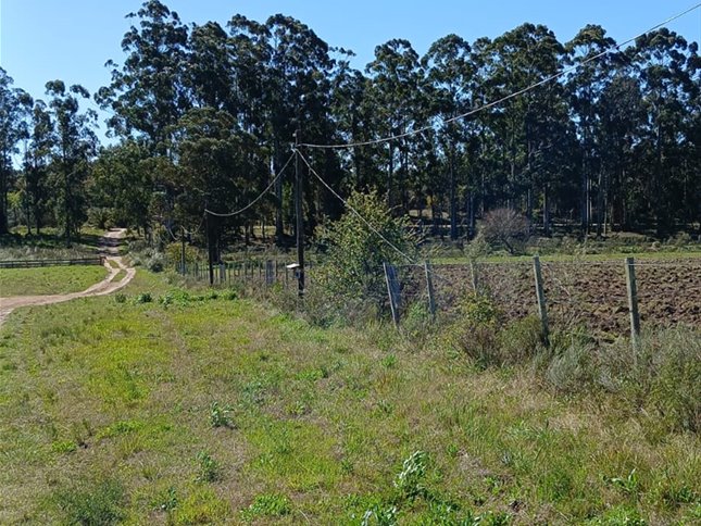 CHACRA 2 HÁ PRÓXIMO RUTA 34 Venta Empalme Olmos Costa de Oro - foto 3