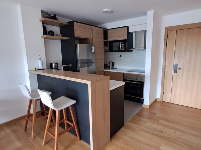 Apartamento de 1 Dormitorio amueblado en Punta Carretas - foto 3