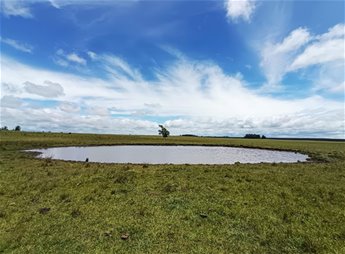 Venta Chacra de 12 hectáreas en Durazno