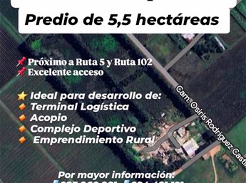 Venta de chacra 5,5 hectáreas