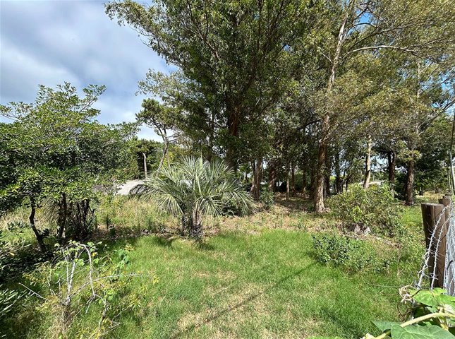 Venta de gran Terreno en Punta del Este San Rafael cerca de la playa - foto 3