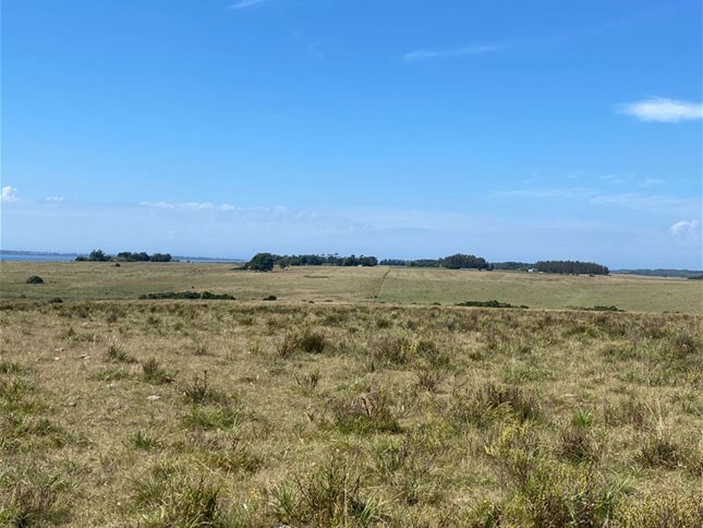 Desarrollo de Chacras en las Sierras – A Solo 10 Minutos de José Ignacio - foto 3