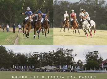 Terrenos en Venta en Punta Polo Club Barrio Cerrado