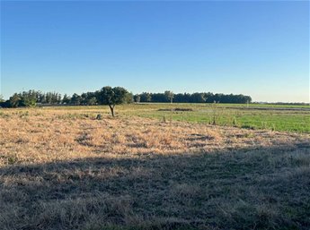 Campo Agrícola-Ganadero de 10,5 Ha sobre Ruta 5 con excelente logística