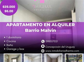 ALQUILER UN DORMITORIO AL FRENTE CON BALCÓN GG Y BOX EN MALVIN