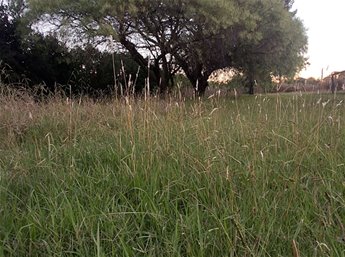 Venta terreno S J de Carrasco,  ubicación estratégica para construir hasta 10 unidades! Zona Barrios privados cerca de todo