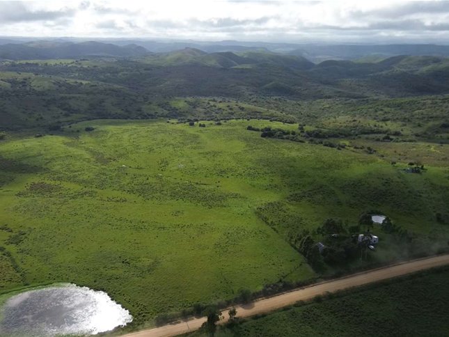 Campo 221 há Caza Mayor y Turismo sobre Ruta 98 — Sierra, Agua y Luz — Treinta y Tres - foto 1