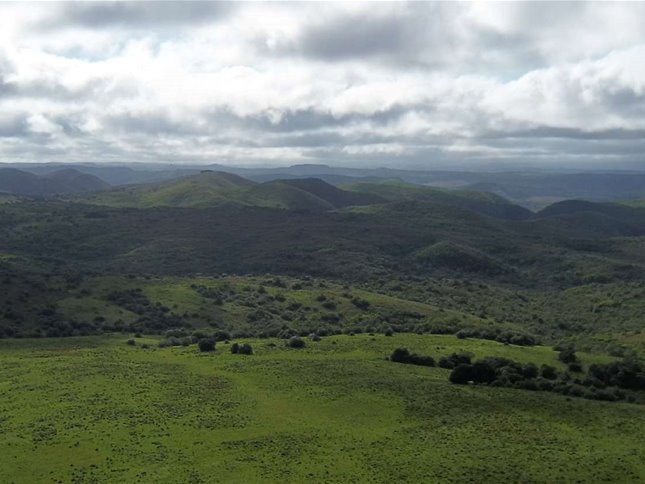 Campo 221 há Caza Mayor y Turismo sobre Ruta 98 — Sierra, Agua y Luz — Treinta y Tres - foto 3