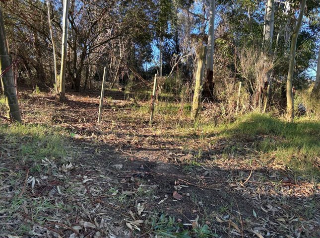 CHACRA 2 HÁ PRÓXIMO RUTA 34 Venta Empalme Olmos Costa de Oro - foto 2