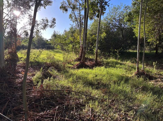CHACRA 2 HÁ PRÓXIMO RUTA 34 Venta Empalme Olmos Costa de Oro - foto 1