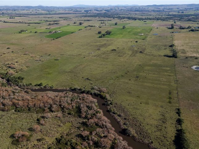 Chacra De 12 Hectáreas Con Cañada A 16 Km De San Carlos - foto 2