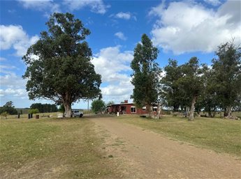 Venta De Chacra De 15 Hectáreas Excelente Ubicación cercana a Migues Ref: 12433