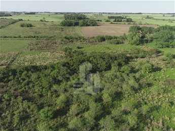 Venta De Chacra De 5 Hectáreas Cerca De Balneario En Colonia Ref:3315