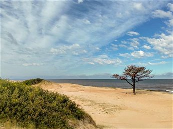 Venta Terreno 1119 m² en El Pinar frente al mar