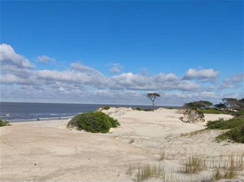 Venta Terreno 1522 m² en El Pinar frente al mar