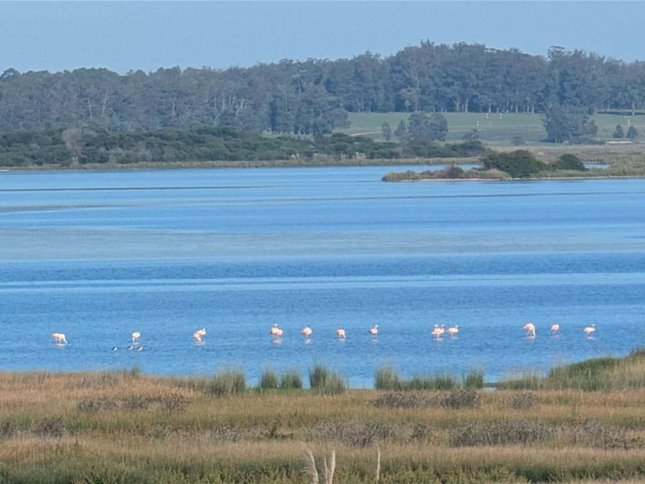 CASA ALQUILER TEMPORAL LA JUANITA FRENTE A LA LAGUNA DE JOSÉ IGNACIO 14 PERSONAS - foto 2